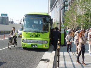 UMEGLE-BUS1