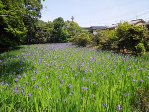 太田神社